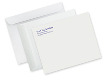 9" x 12" Mailing Envelope || Custom Envelopes || Full Color